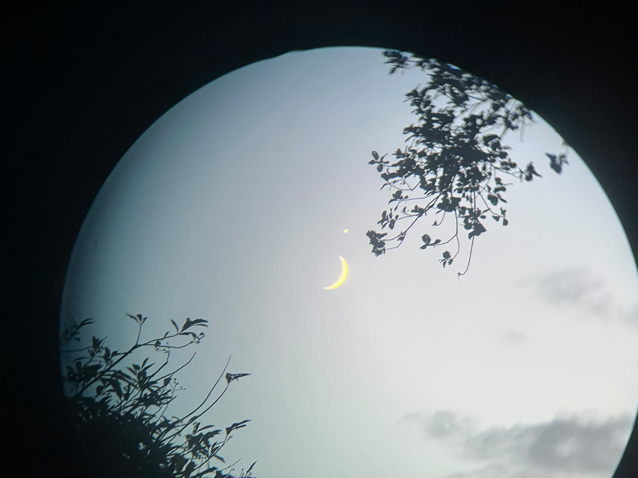 The Moon - 3 days old